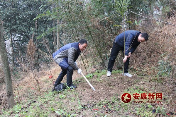 3��11�գ����޿hֱ�C�P300���˅����x��ֲ������������ֲ���˘�1400����ԓ�hӋ������G������6.2�f�������д�����