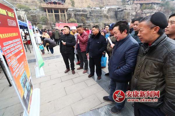 2月2日,胡延軍在嵐皋縣就業創業“春風行動”招聘會現場尋找合適的工作崗位。張昊 攝.jpg