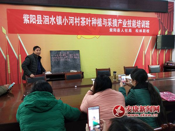 ����ˮ��e�k���~�Nֲ�c��ժ������Ӗ��