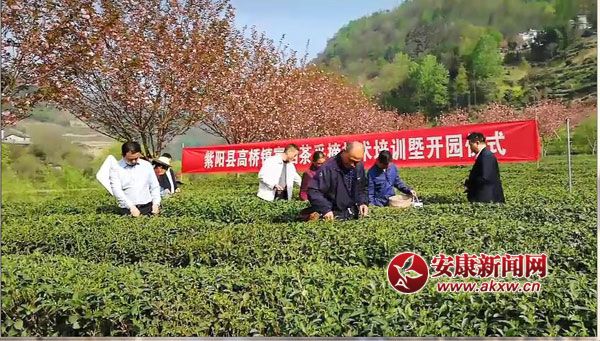 ��ꖸߘ�悴����_������