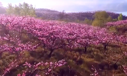 �׺ӿh���Č��Ļ����ι�