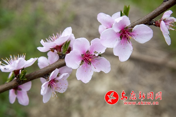 ��Ϫ悱P���� �L���@߅����