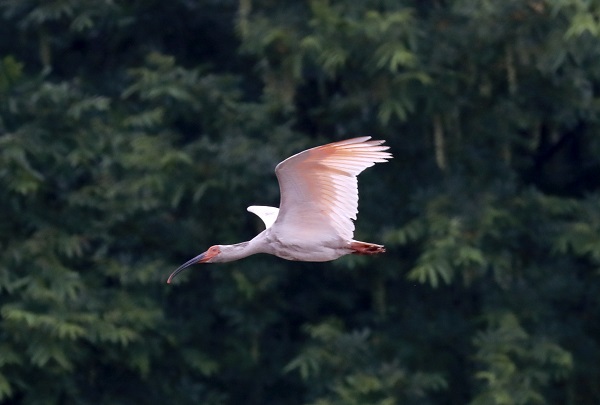 �|����ʯ�������q