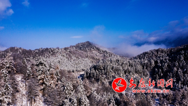 �ƺ����ɽ ѩ�V���箋