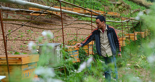 ���ڷ�ؚ���Ӯa�I�lչ