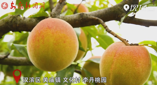 ҕ�� | ��҈@����������