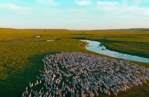 �ڰ������Ї��������}�����������\�CС����