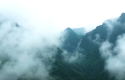 �ڰ������Ї��������}�������������ɽ�Ͽ�ɳɳ��