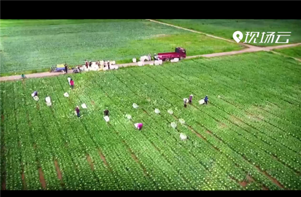 全國(guó)“脫貧攻堅(jiān)”優(yōu)秀紀(jì)錄片展播|《決戰(zhàn)脫貧在今朝》第一集 最后的硬骨頭播出版