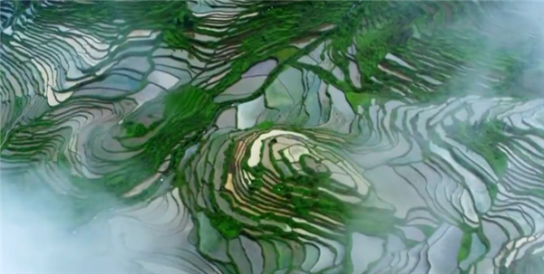 全國(guó)“脫貧攻堅(jiān)”優(yōu)秀紀(jì)錄片展播|紀(jì)錄片《遍地英雄下夕煙》第五集:安身立本