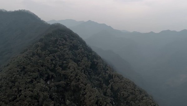 ���Č�������x���ărֵ�^���}΢�Ӱ������Ʒչ��������b����Ը��