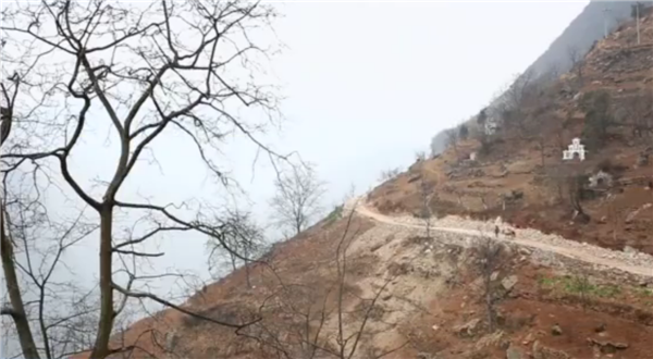 ȫ����Óؚ���ԡ�����o�Ƭչ�����μ�ӰƬ�R�����۽����yȺ�w�����ϵĴ��f��