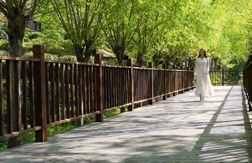 ꖹ��đB���ɾ���������