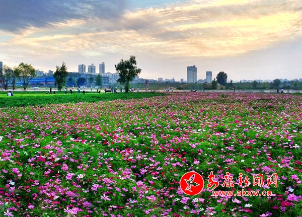 �ߣ��������ǖ|�^(q��)����ȥ