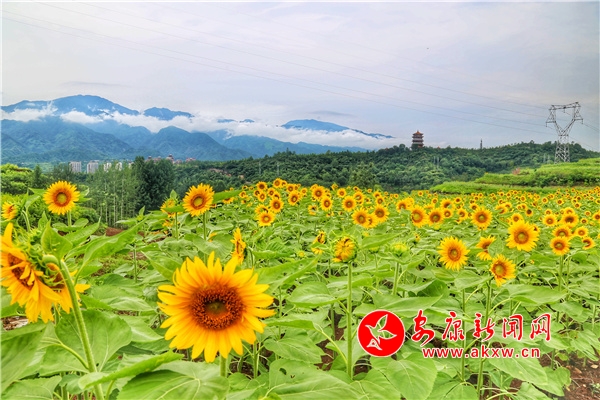 �hꎡ������@���ٮ��k���������箋