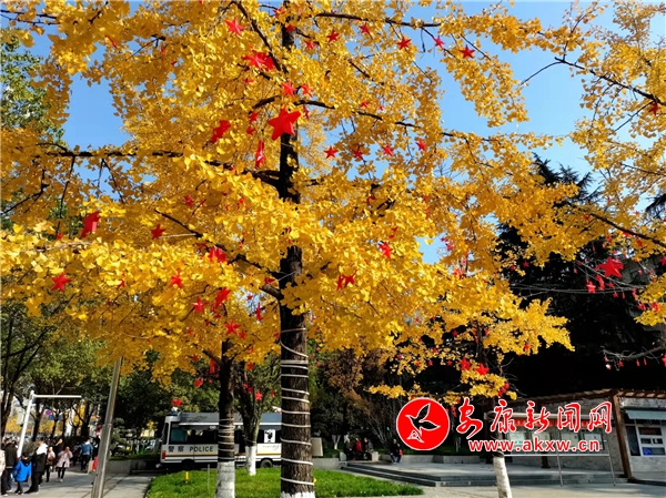 ����ů��y�Ә�