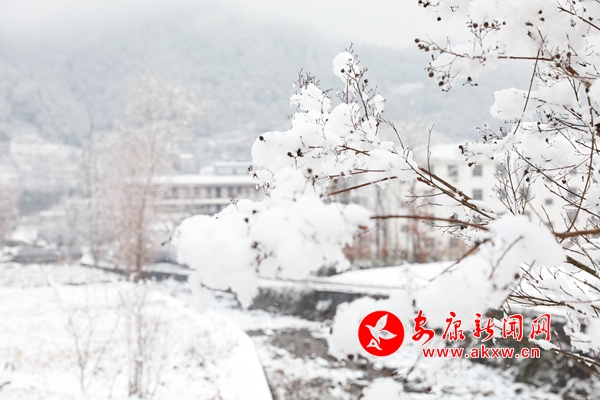 ��ѩС悟����C