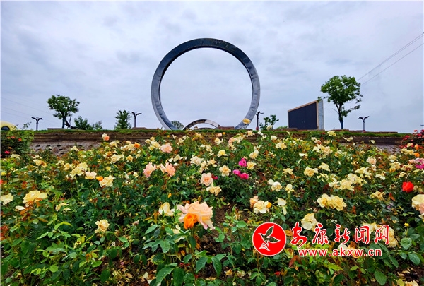 �������V����