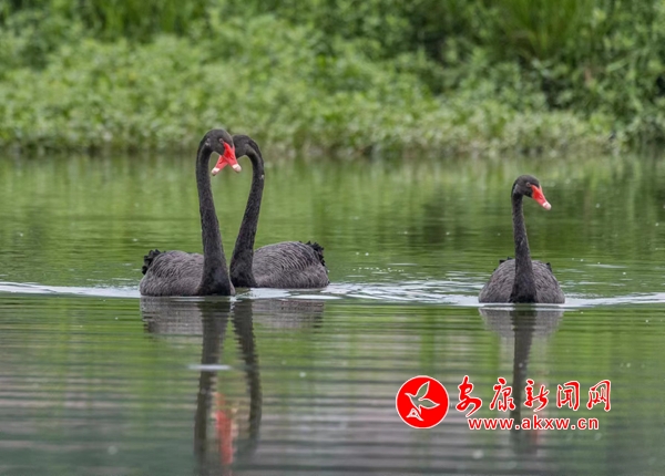 �hꎣ������еĺ����Z