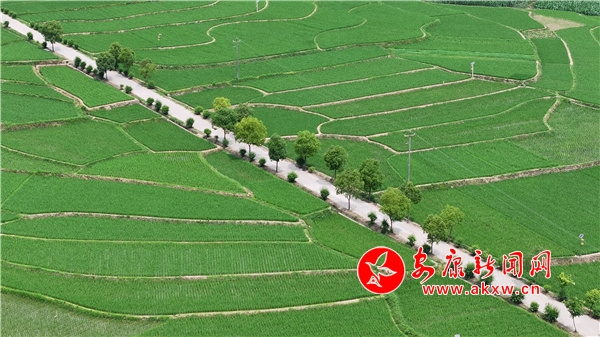 �hꎣ����յ���G�ⰻȻ �����l����Ԋ�箋