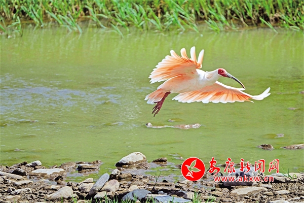 �h�ɽˮ�����q