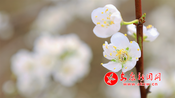 ������ѩӭ�́�(l��i)