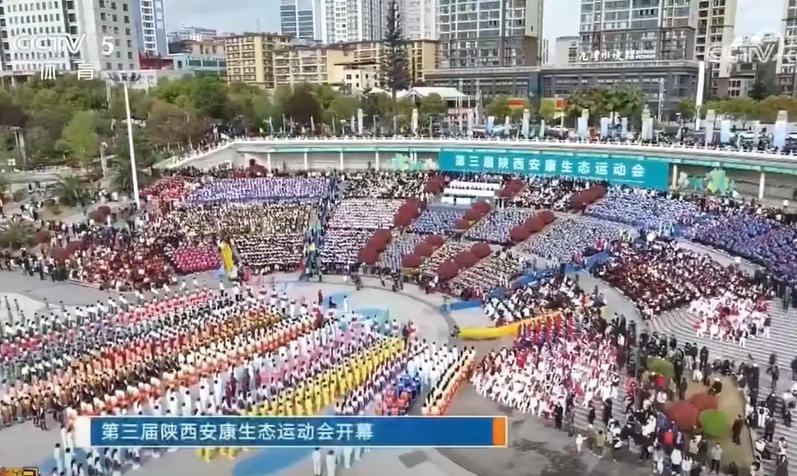 ��ҕ���w�����󡷙�Ŀ���l  ����������������B�\�ӕ��_Ļ