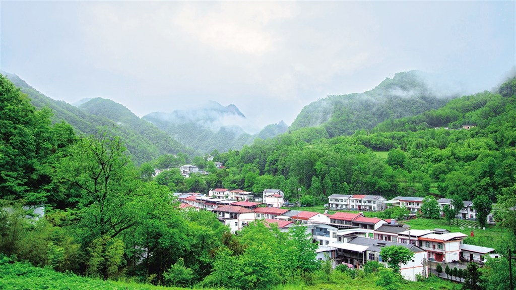 �����l���®���