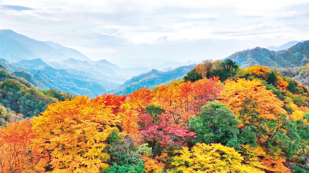 ��ɽ�t�~��ϼ�ƻ�