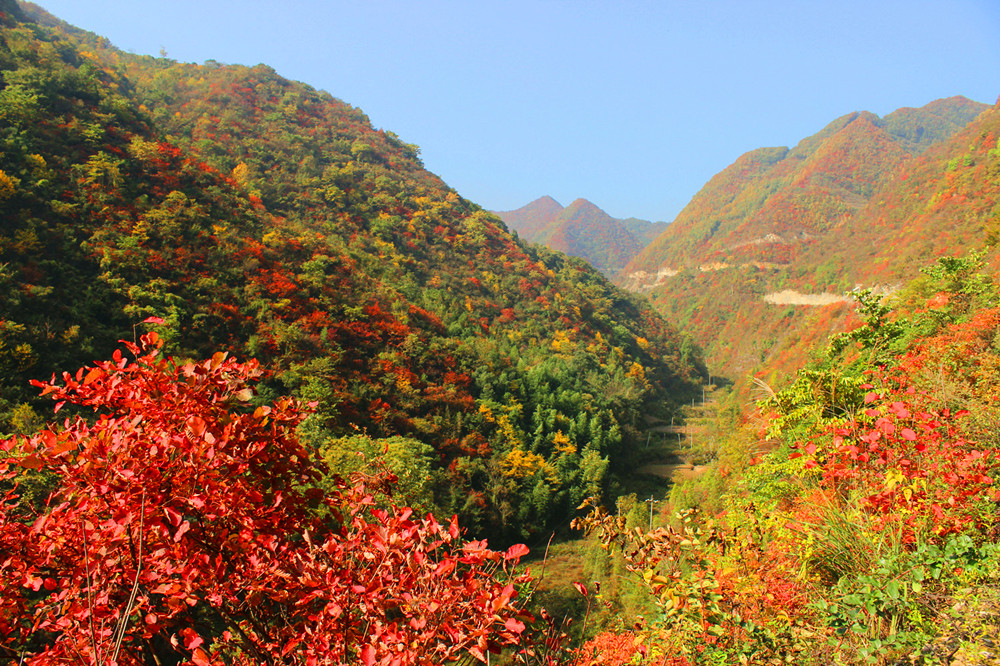 ����׌üt�~��(ji��)���ˣ�