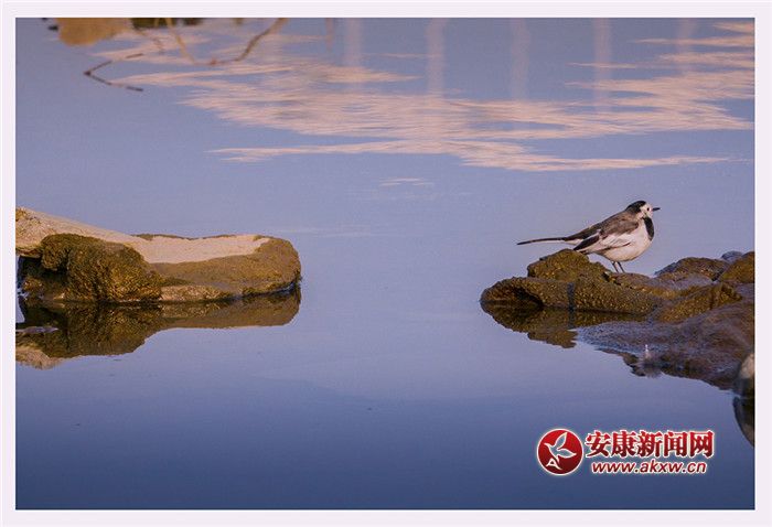 ��ˮ��һɫ���zӰ��Ƥ�¾S���f��������Ƭ��2017��12��3�������ʡ�����Нh�����Ĕz�ģ�չ�F(xi��n)�����õ����B(t��i)�h(hu��n)����(li��n)ϵ�Ԓ��