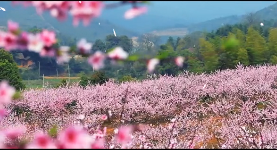 �����g�һ���ˮɫ�׺ӡ������Ļ�������Ƭ